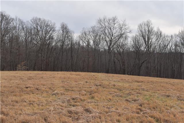 29 Hayes Ridge Road Indian Mound, TN 37079 - Photo 8 of 14 Gallery Image 8