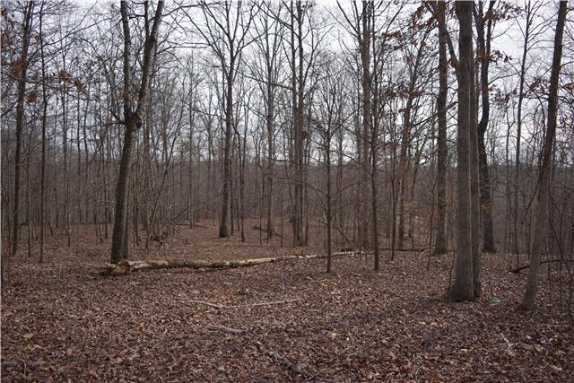 29 Hayes Ridge Road Indian Mound, TN 37079 - Photo 10 of 14 Gallery Image 10