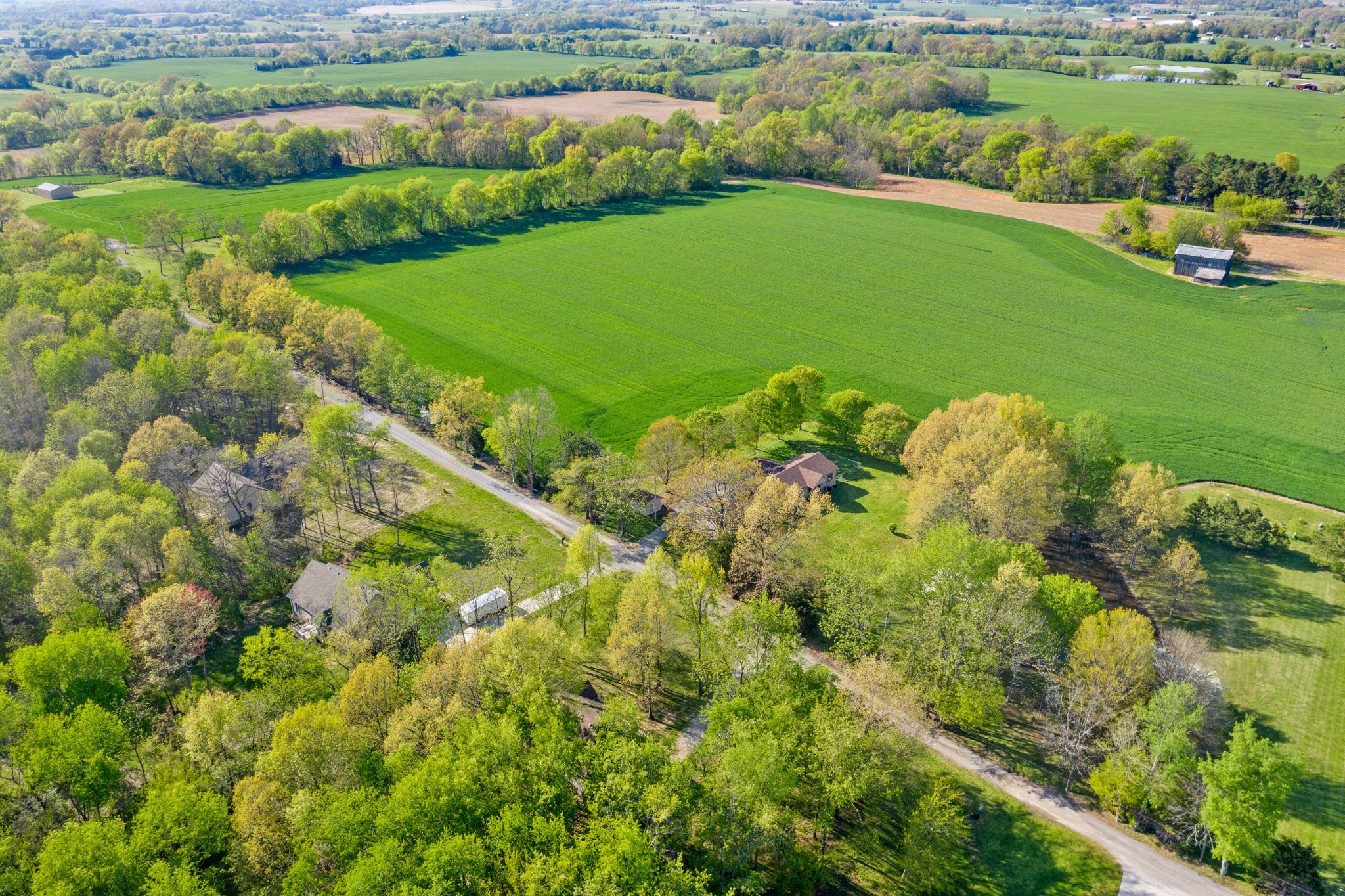 4439 Taylor Road Springfield, TN 37172 - Photo 2 of 29 a view of a garden with a lake