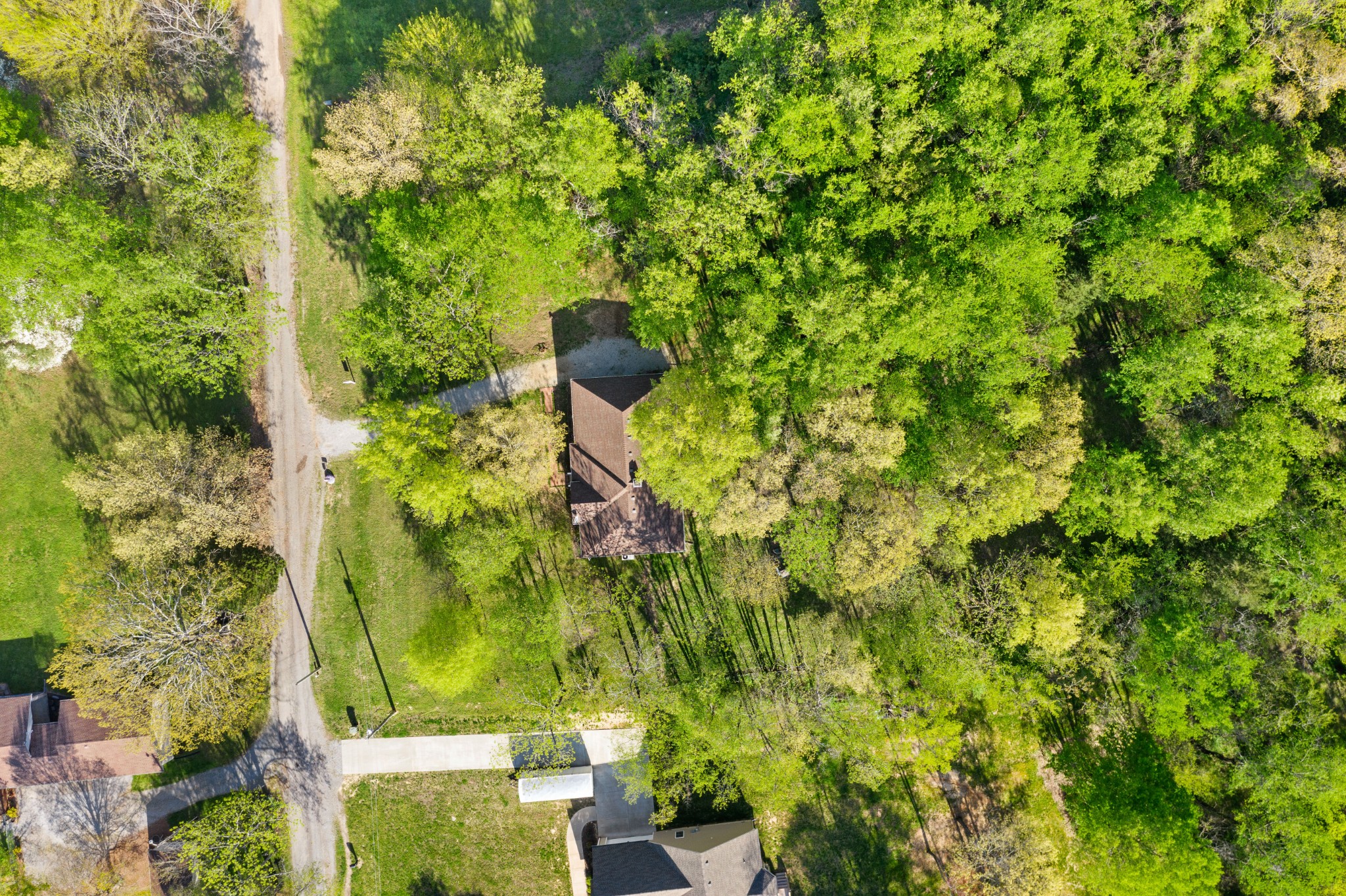 4439 Taylor Road Springfield, TN 37172 - Photo 29 of 29 a view of a yard with plants