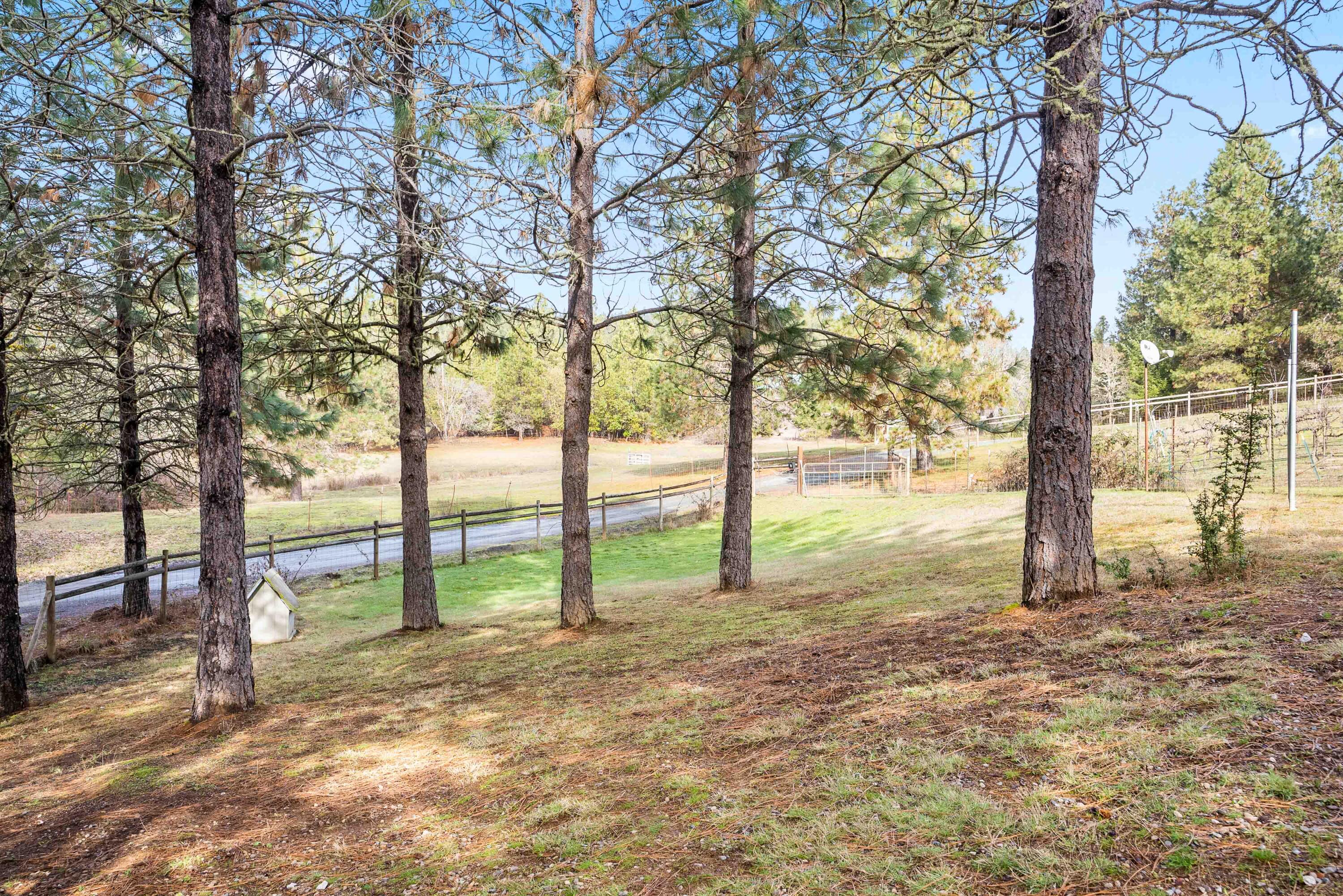 1280 Crow Road Merlin, OR 97532 - Photo 37 of 44 a view of yard with tree in the background