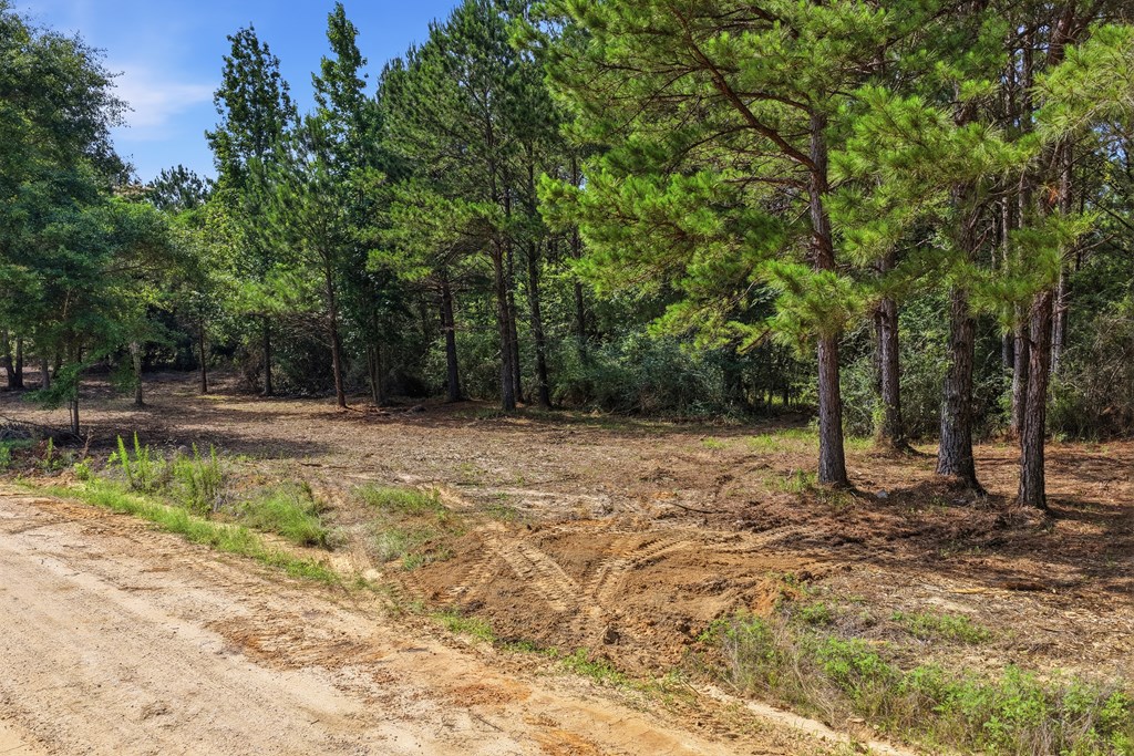 Lot #5 Crosby Clark Road Opp, AL 36467 - Photo 8 of 11
