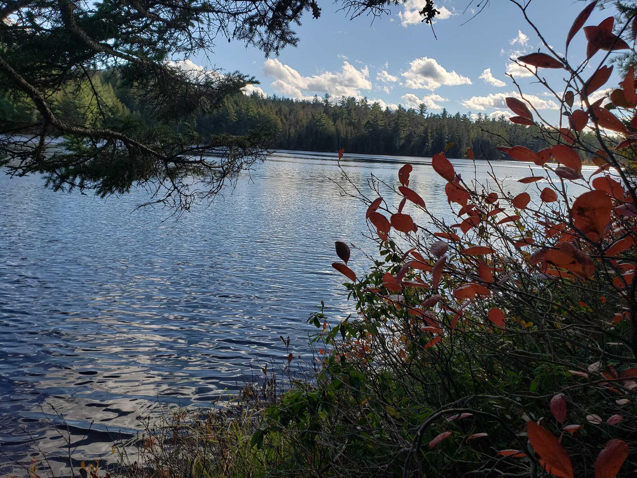 Lot714 Lot714 Ryder Road Wesley, ME 04686 - Photo 11 of 26 279803455_10221170170059349_410817807238