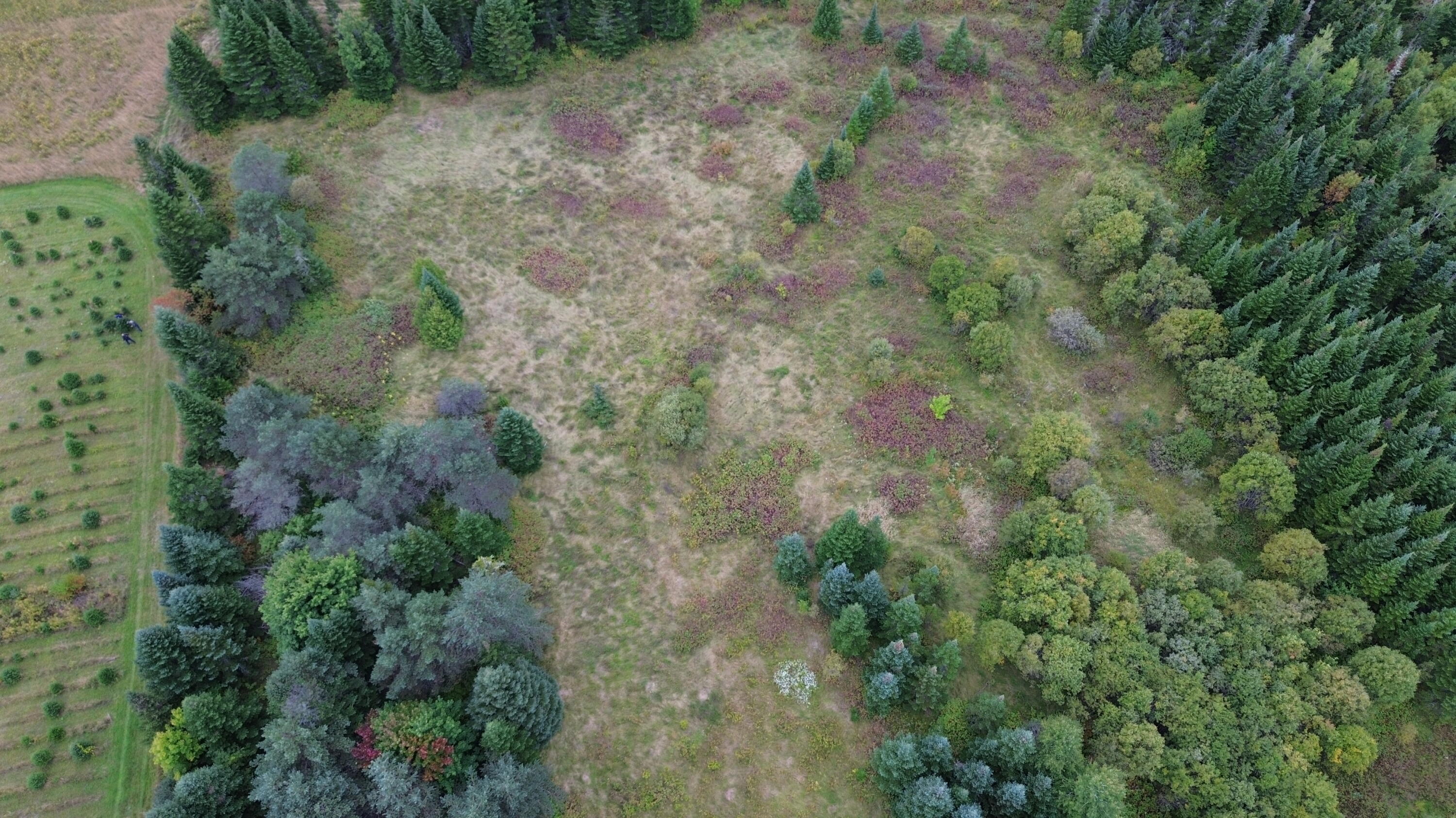 0 West Ridge Road Littleton, ME 04730 - Photo 19 of 25 DJI_0050