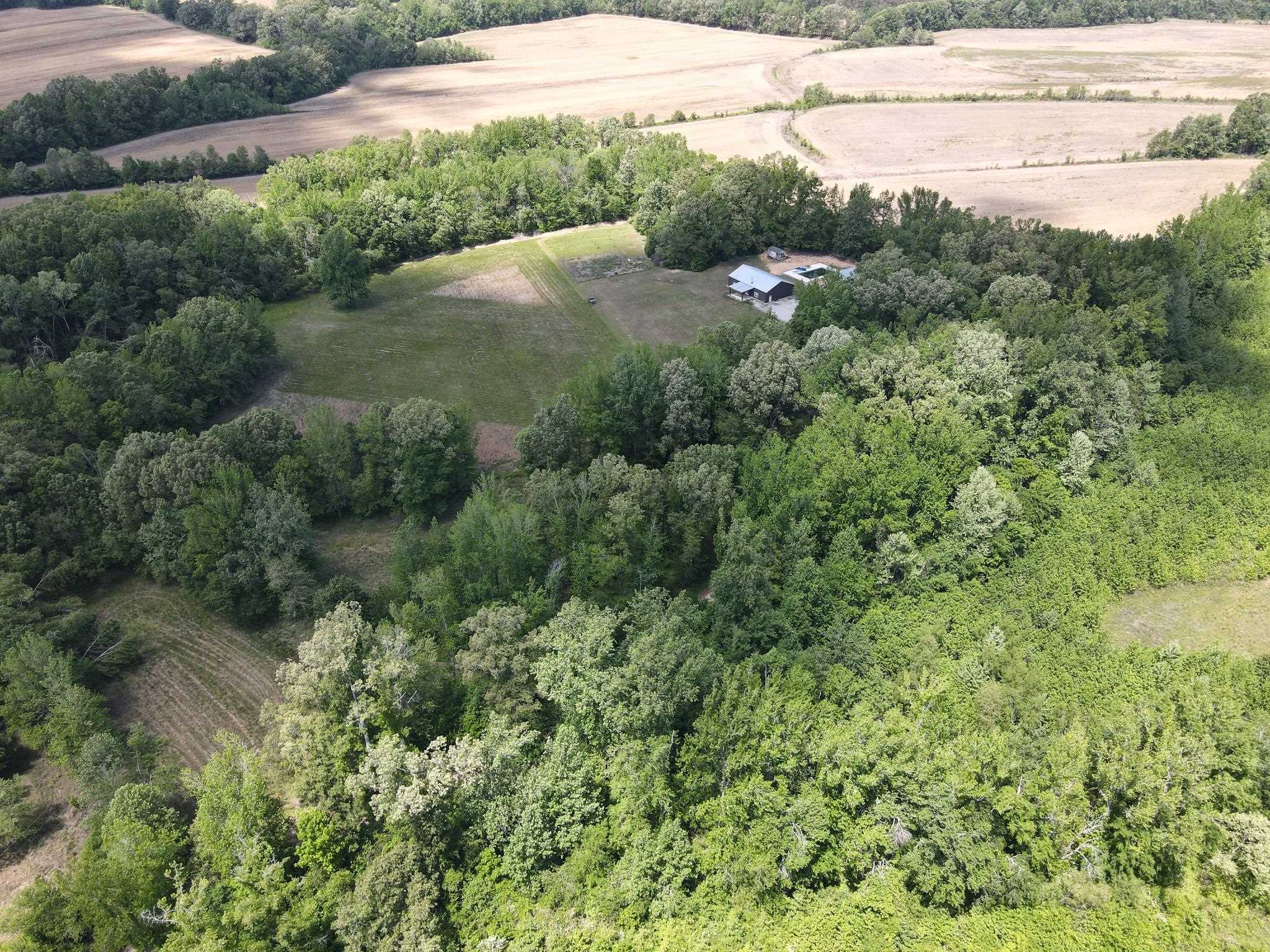 710 Harlon Iron Road Morris Chapel, TN 38361 - Photo 33 of 40 a view of a forest with a street