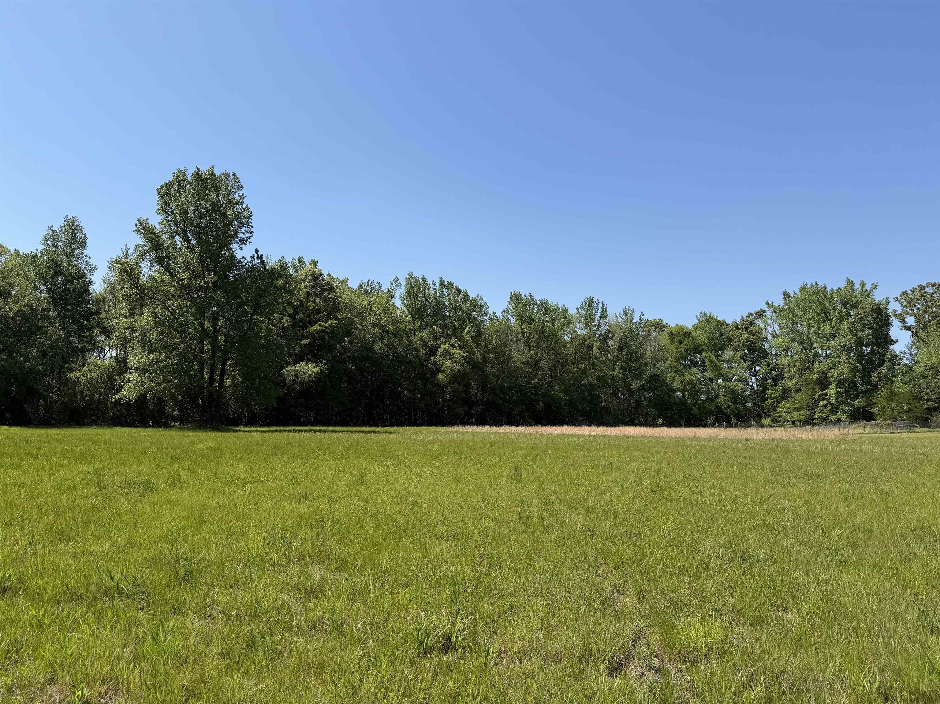 710 Harlon Iron Road Morris Chapel, TN 38361 - Photo 34 of 40