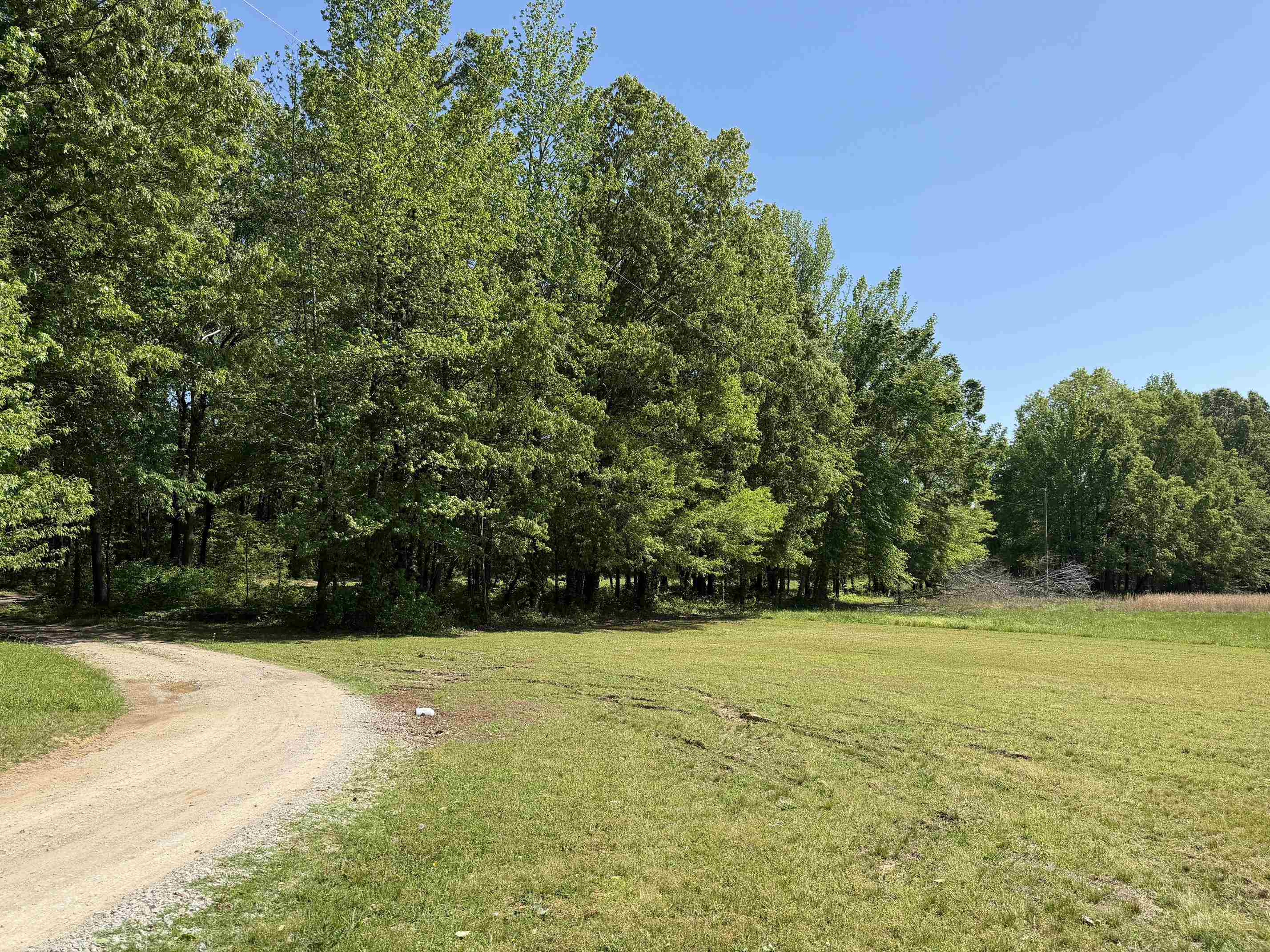 710 Harlon Iron Road Morris Chapel, TN 38361 - Photo 35 of 40