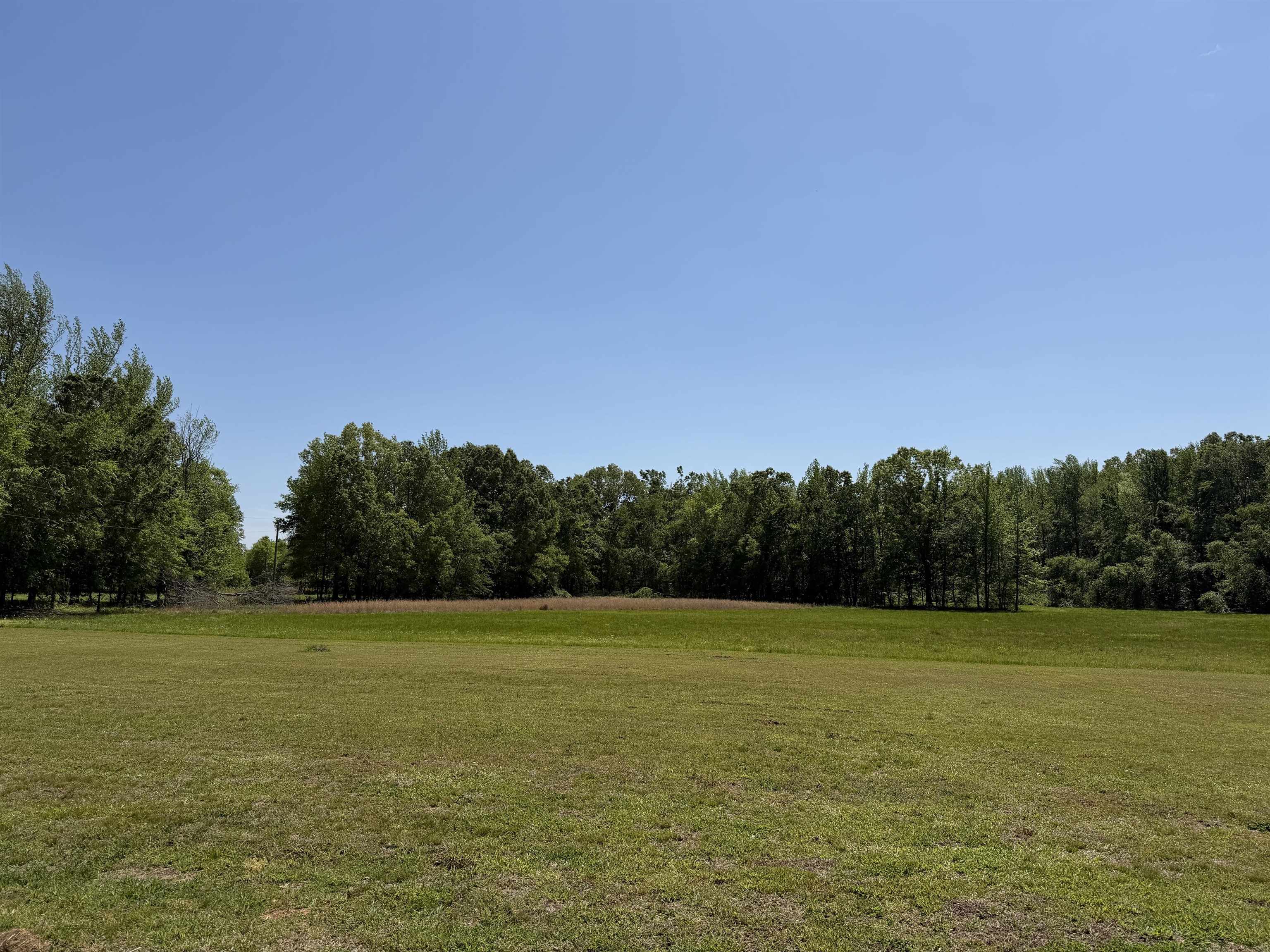710 Harlon Iron Road Morris Chapel, TN 38361 - Photo 4 of 40 a view of a ocean with a trees in the background