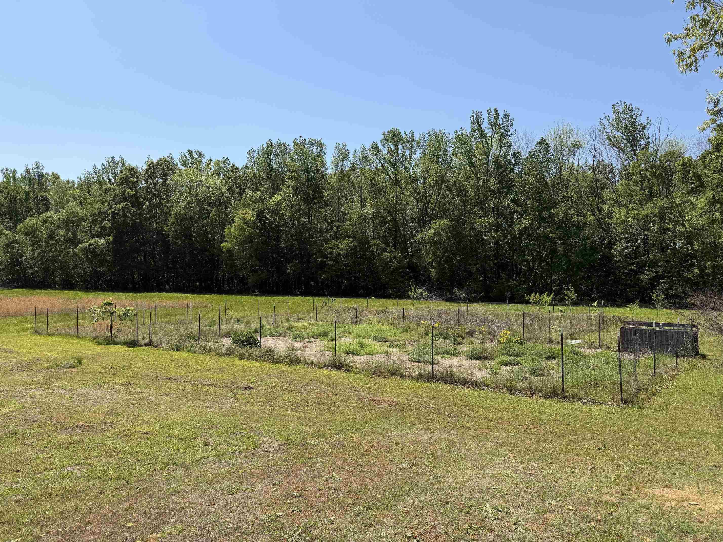 710 Harlon Iron Road Morris Chapel, TN 38361 - Photo 5 of 40
