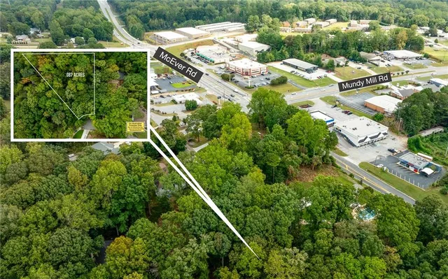 a view of a backyard with plants
