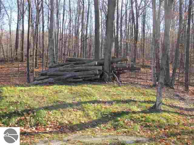 2171 South Ridge Road Lake Leelanau, MI 49653 - Photo 8 of 14 1814283-7.JPG