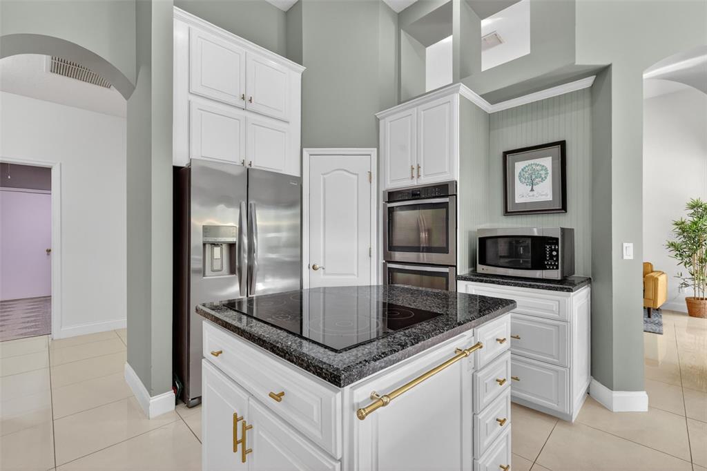 9041 Laurel Ridge Drive Mount Dora, FL 32757 - Photo 11 of 40