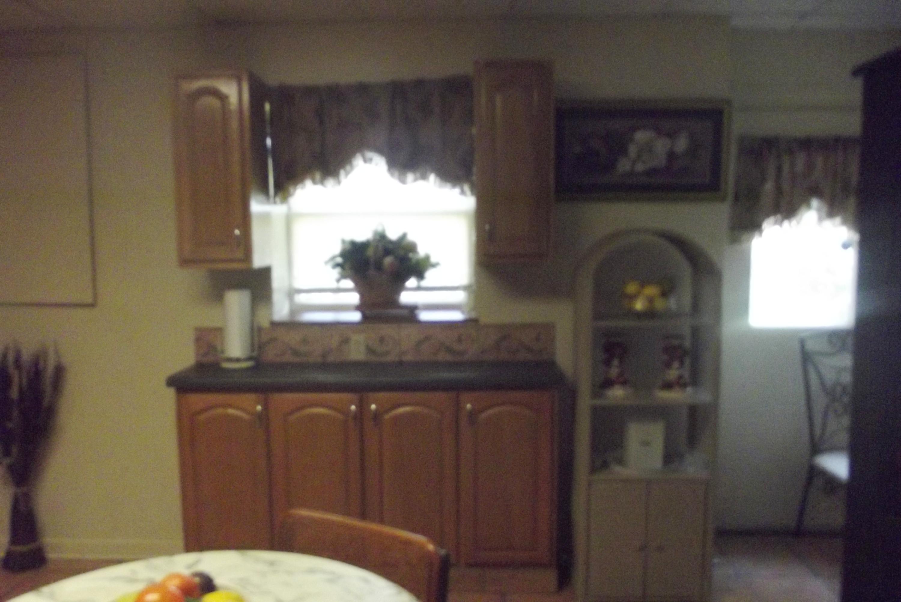 355 Gun Ridge Road Vonore, TN 37885 - Photo 25 of 35 DSCF0976