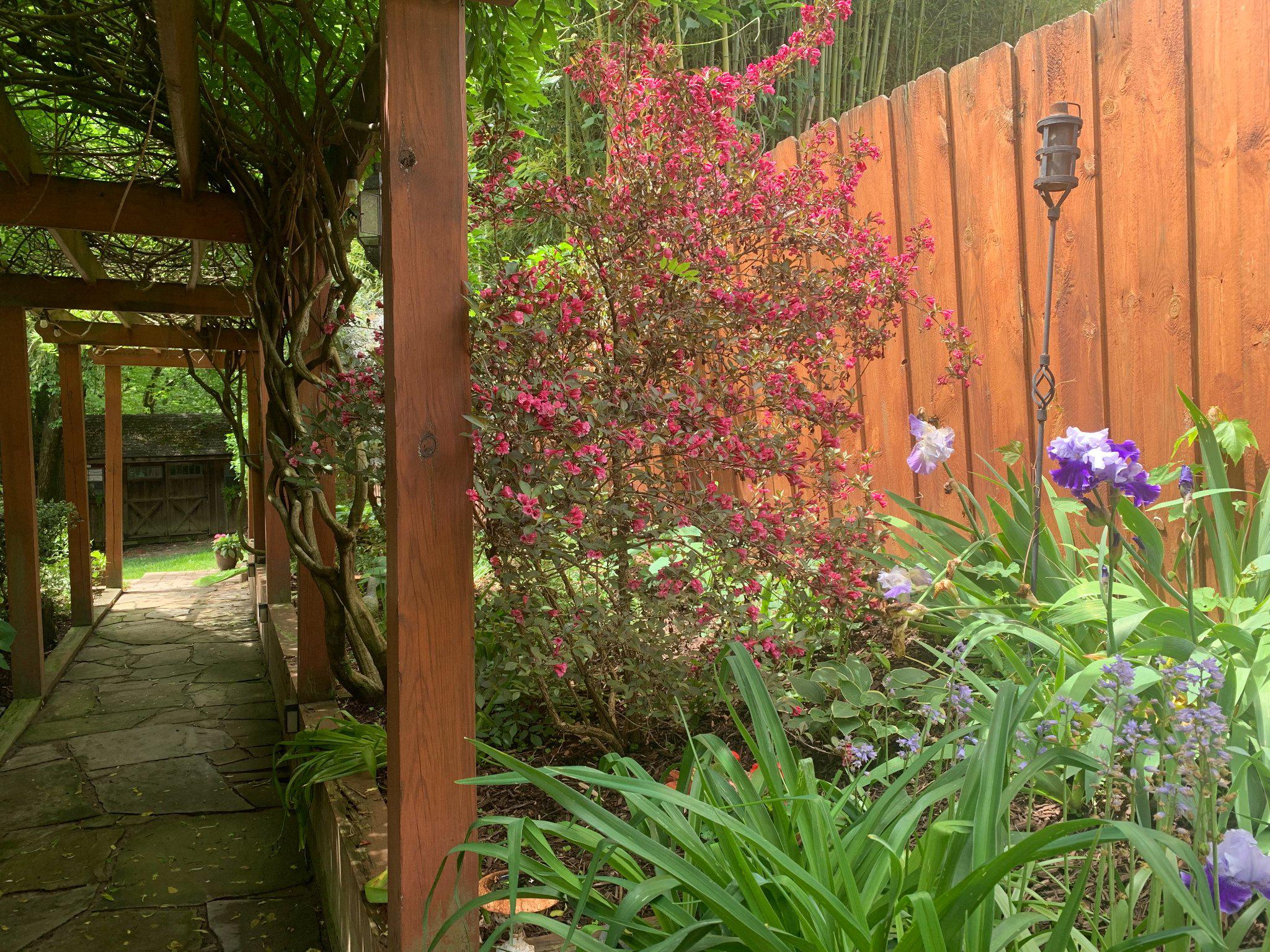 15802 Radwick Lane Silver Spring, MD 20906 - Photo 38 of 53 Pergola walkaway leads to backyard