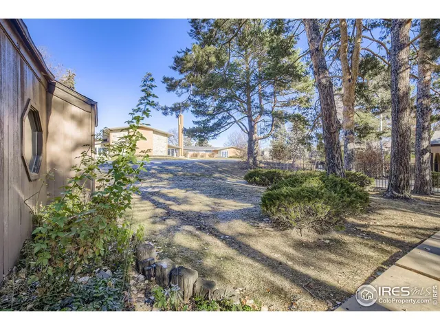 a view of a yard with plants and trees