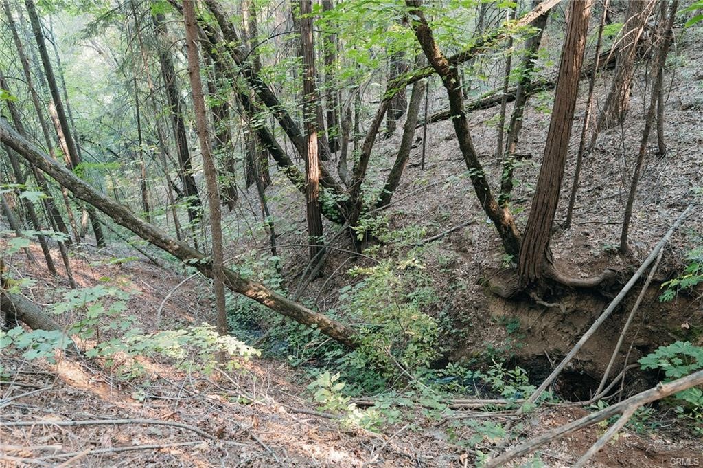 14969 Centerville Road Magalia, CA 95954 - Photo 25 of 33