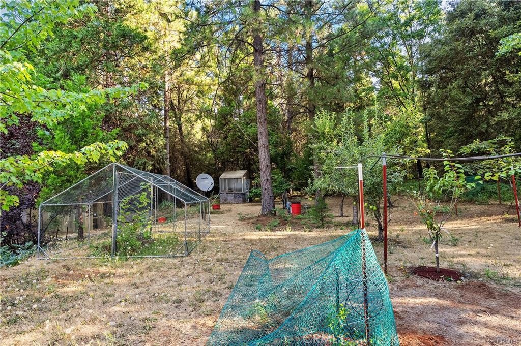 14969 Centerville Road Magalia, CA 95954 - Photo 26 of 33