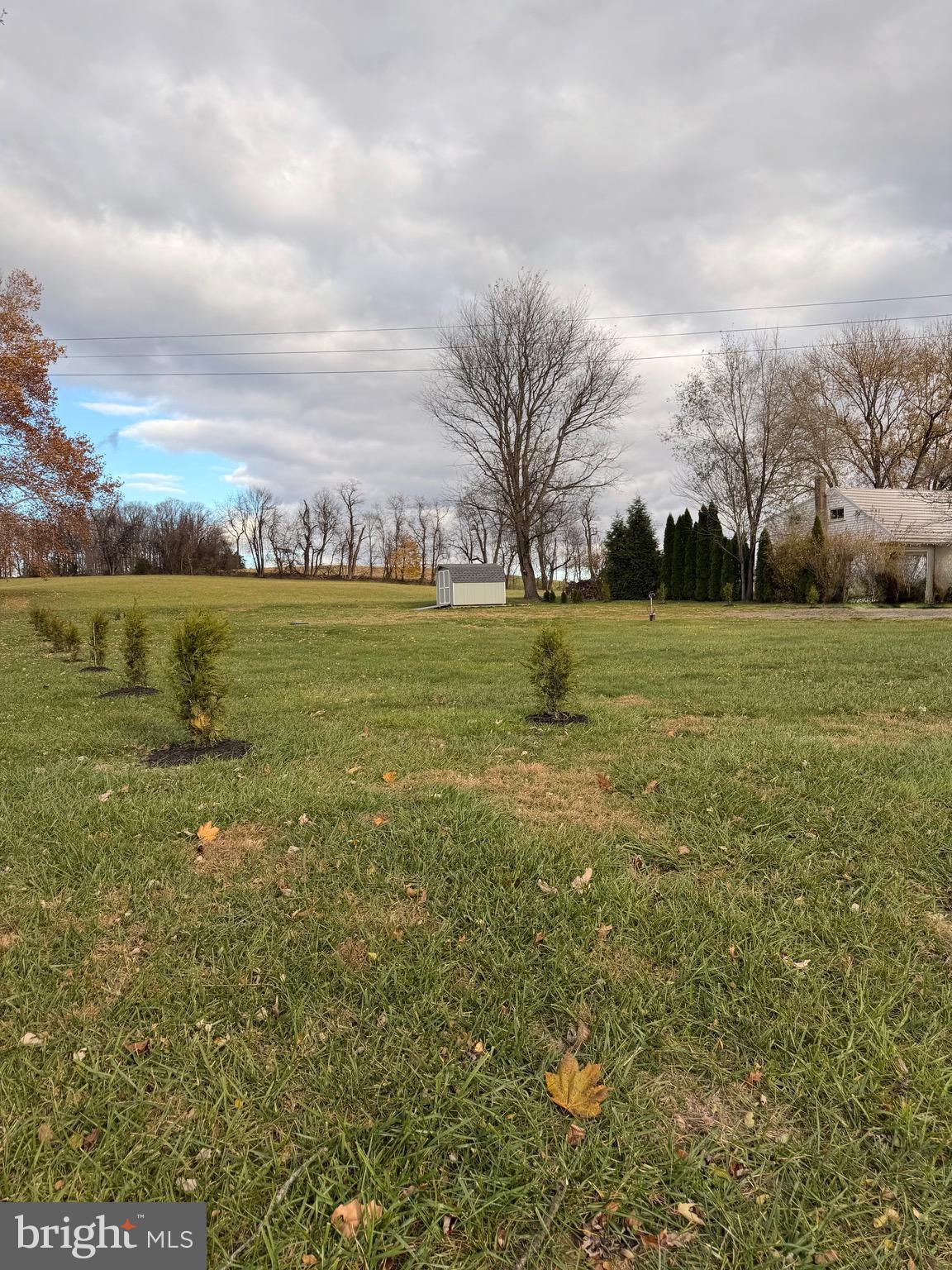 a view of a field with an ocean