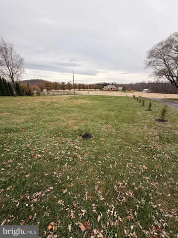 a view of an ocean from a yard