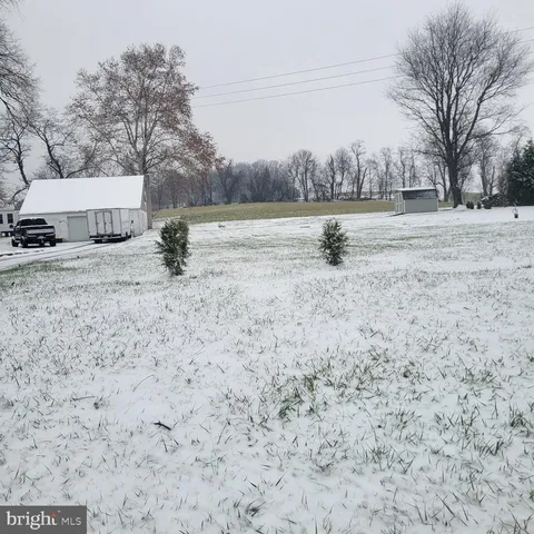 a view of a dry yard with trees