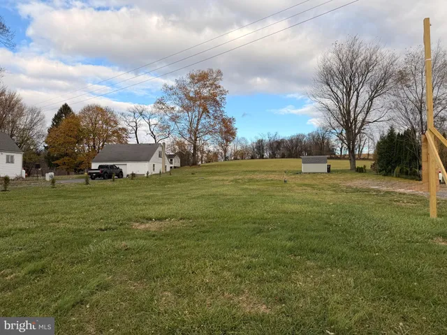 a view of a field with large trees