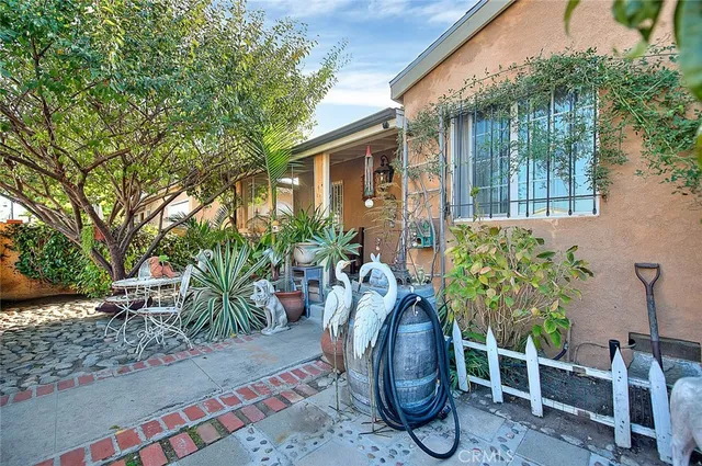 a view of backyard with potted plants and a large tree