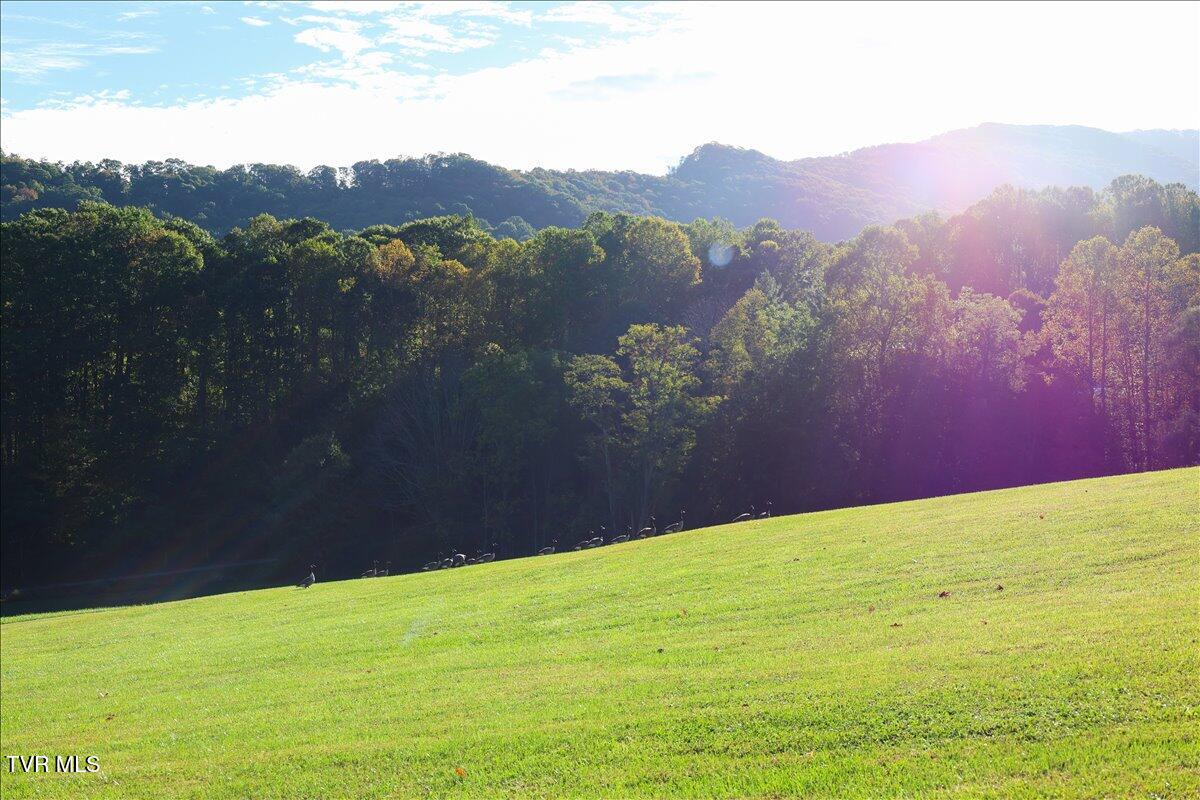 Tbd Eagle Ridge Road, Unit 22 Roan Mountain, TN 37687 - Photo 13 of 23 04-128A5624