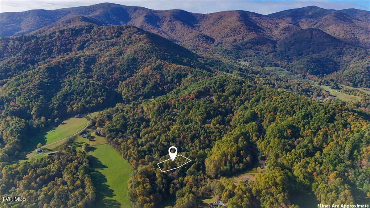 Tbd Eagle Ridge Road, Unit 22 Roan Mountain, TN 37687 - Photo 14 of 23 14-DJI_20251006094203_0096_D