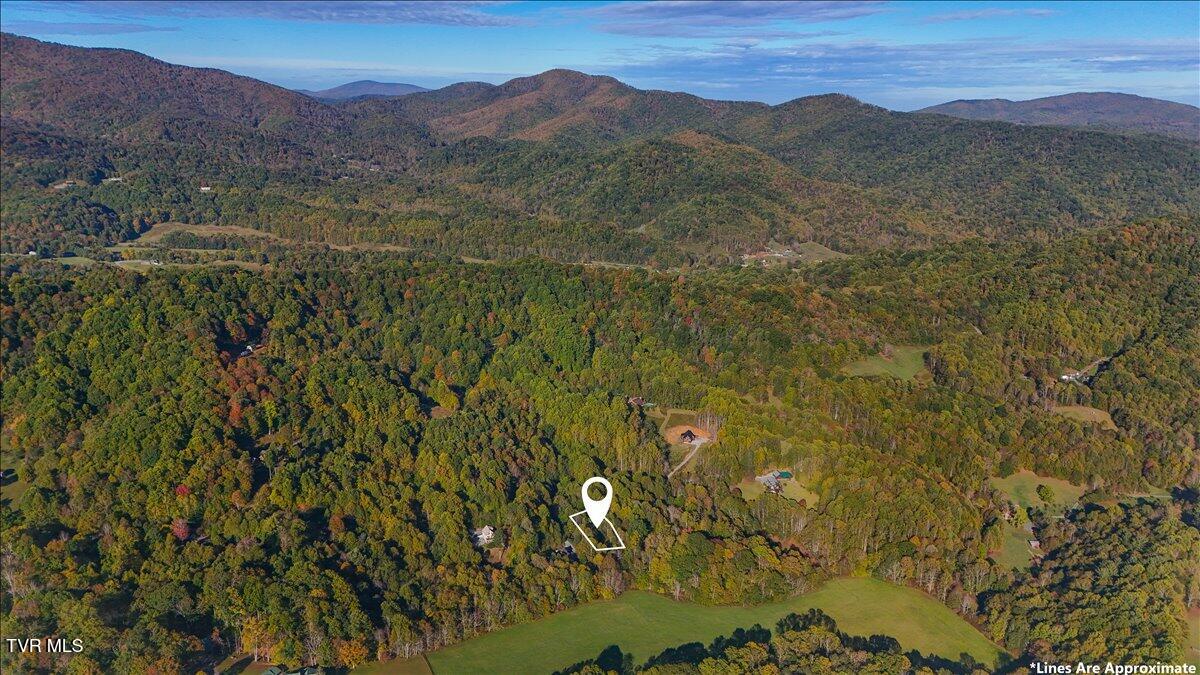 Tbd Eagle Ridge Road, Unit 22 Roan Mountain, TN 37687 - Photo 19 of 23 20-DJI_20251006093722_0092_D