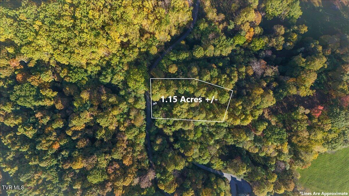 Tbd Eagle Ridge Road, Unit 22 Roan Mountain, TN 37687 - Photo 2 of 23 13-DJI_20251006093306_0086_D