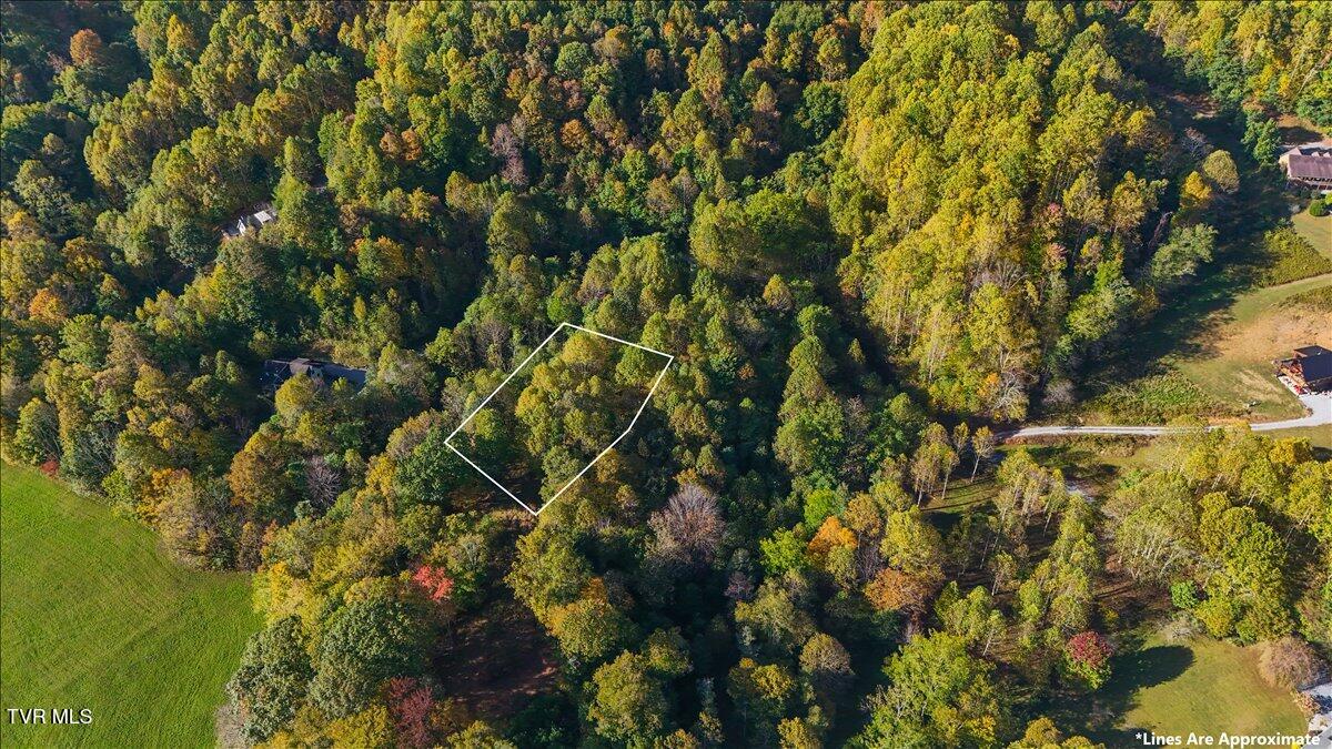 Tbd Eagle Ridge Road, Unit 22 Roan Mountain, TN 37687 - Photo 21 of 23 22-DJI_20251006094113_0095_D