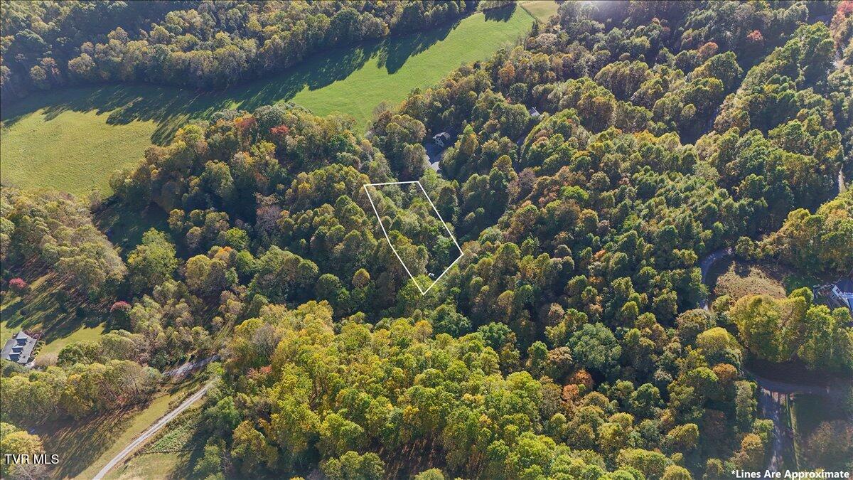 Tbd Eagle Ridge Road, Unit 22 Roan Mountain, TN 37687 - Photo 3 of 23 15-DJI_20251006093354_0087_D