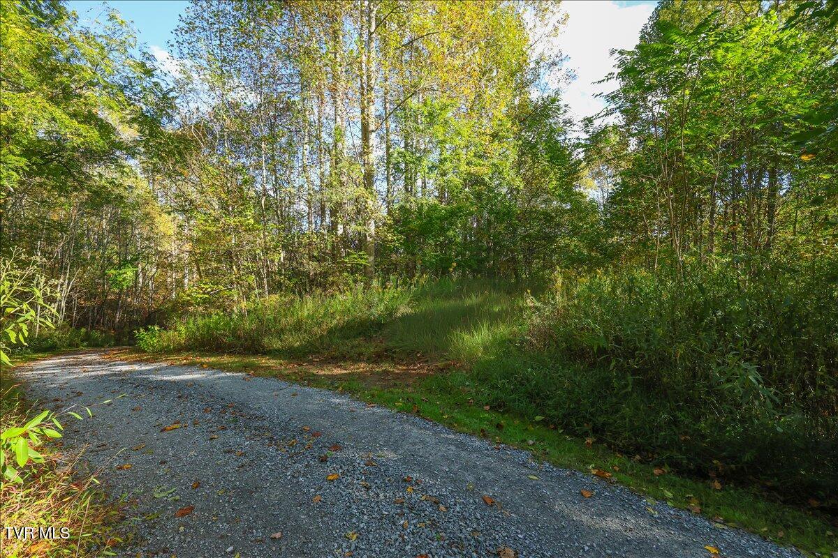 Tbd Eagle Ridge Road, Unit 22 Roan Mountain, TN 37687 - Photo 7 of 23 05-128A5626