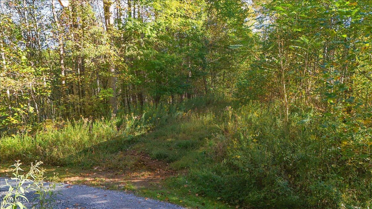 Tbd Eagle Ridge Road, Unit 22 Roan Mountain, TN 37687 - Photo 8 of 23 11-DJI_20251006093140_0084_D