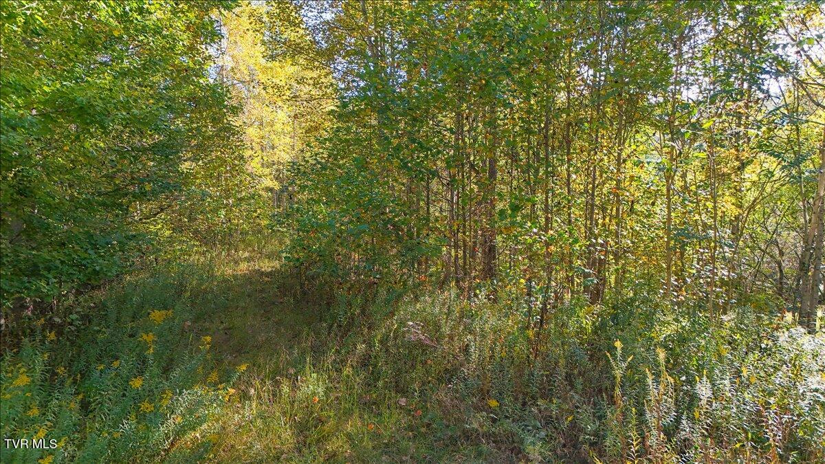 Tbd Eagle Ridge Road, Unit 22 Roan Mountain, TN 37687 - Photo 9 of 23 12-DJI_20251006093152_0085_D