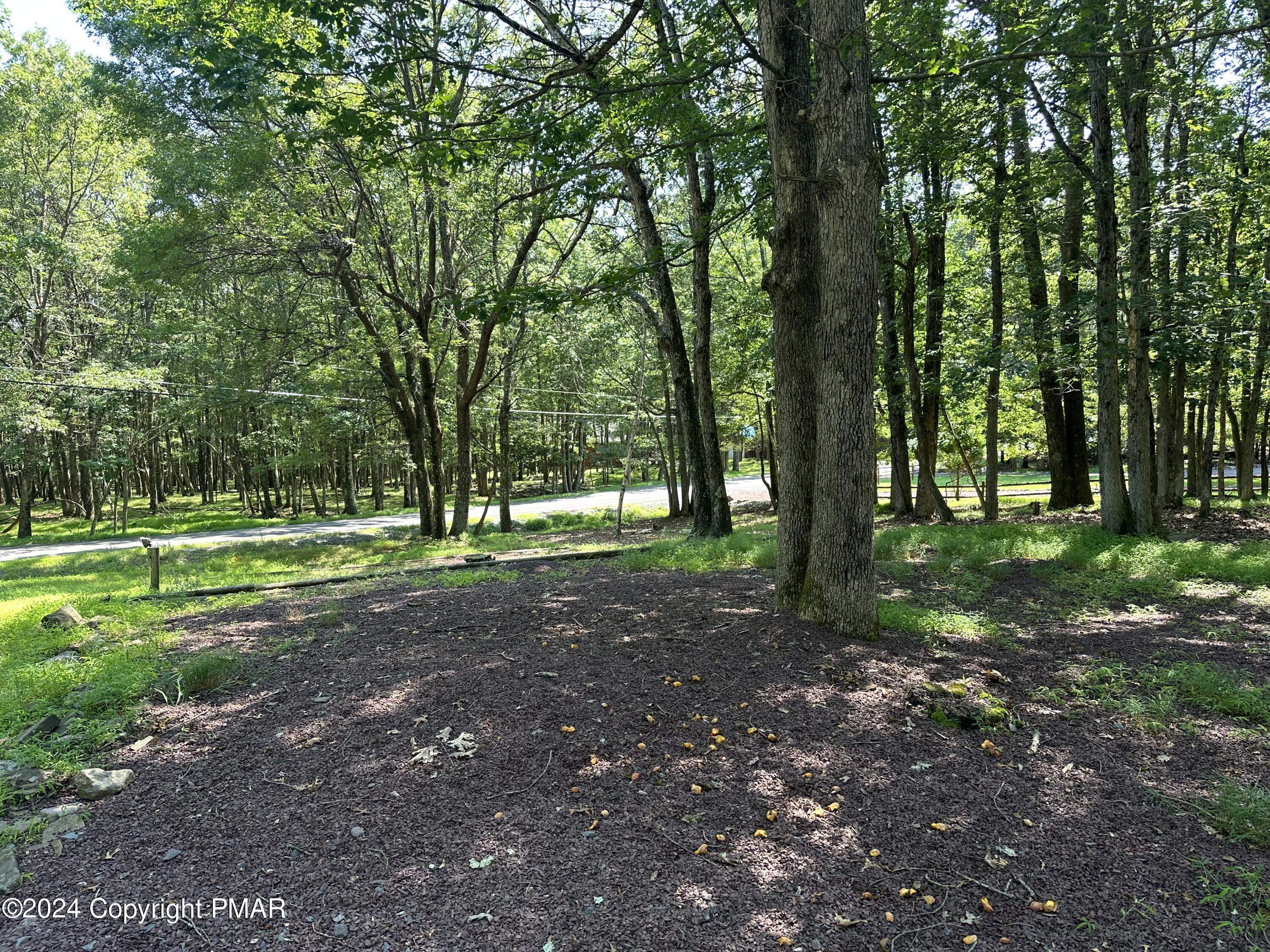 93 Iroquois Road Albrightsville, PA 18210 - Photo 12 of 24 a view of a park that has large trees