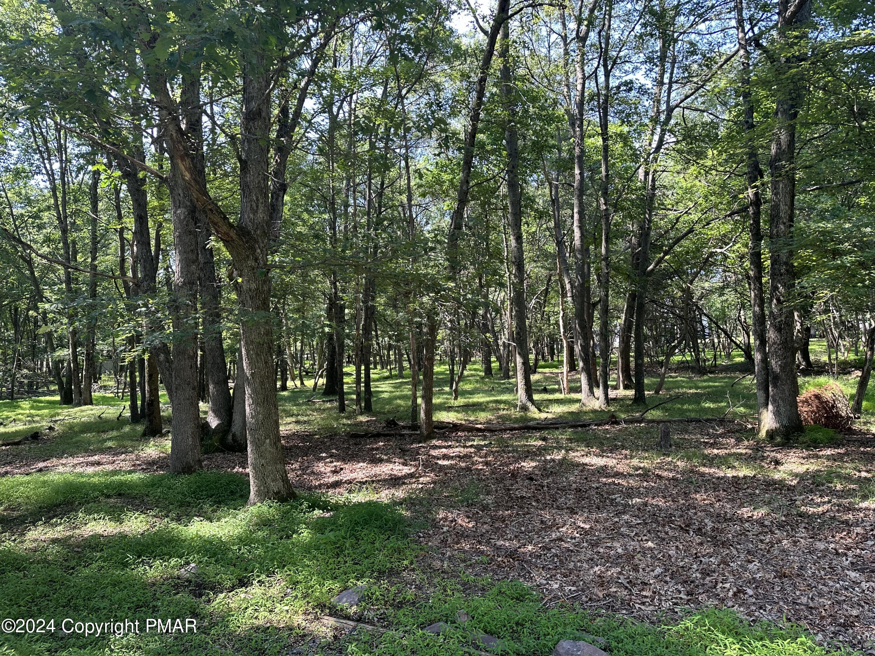 93 Iroquois Road Albrightsville, PA 18210 - Photo 13 of 24 a view of a park with trees in the background