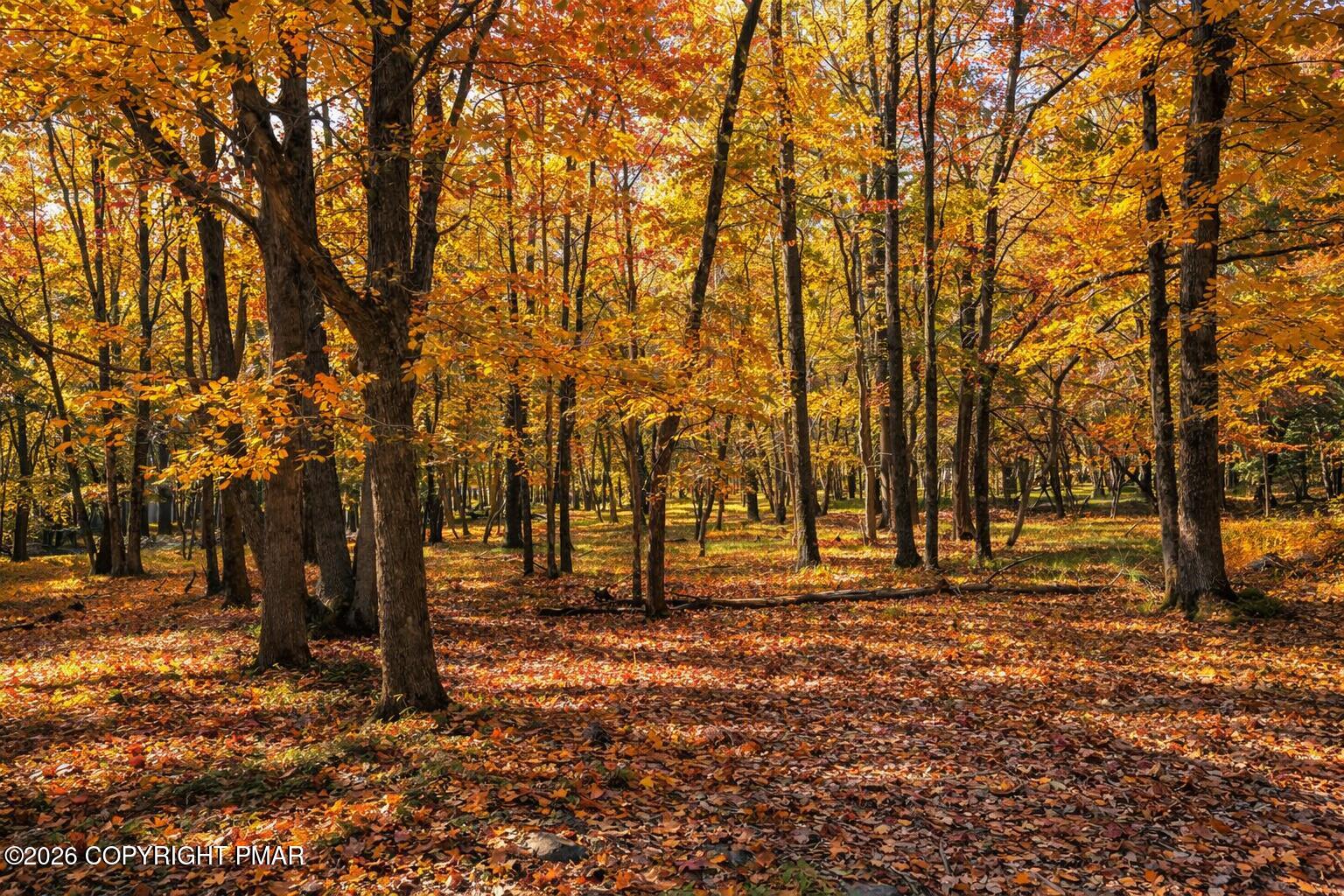 93 Iroquois Road Albrightsville, PA 18210 - Photo 19 of 24 a view of park space