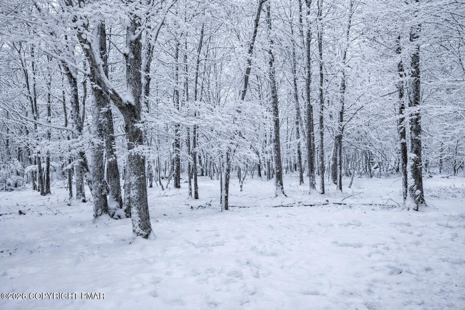 93 Iroquois Road Albrightsville, PA 18210 - Photo 3 of 24 a view of dirt yard with a large tree