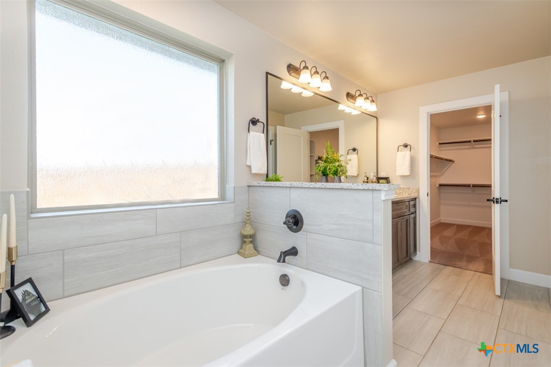 3497 Hooten Bend Kempner, TX 76539 - Photo 8 of 36 a bathroom with a bathtub sink and mirror