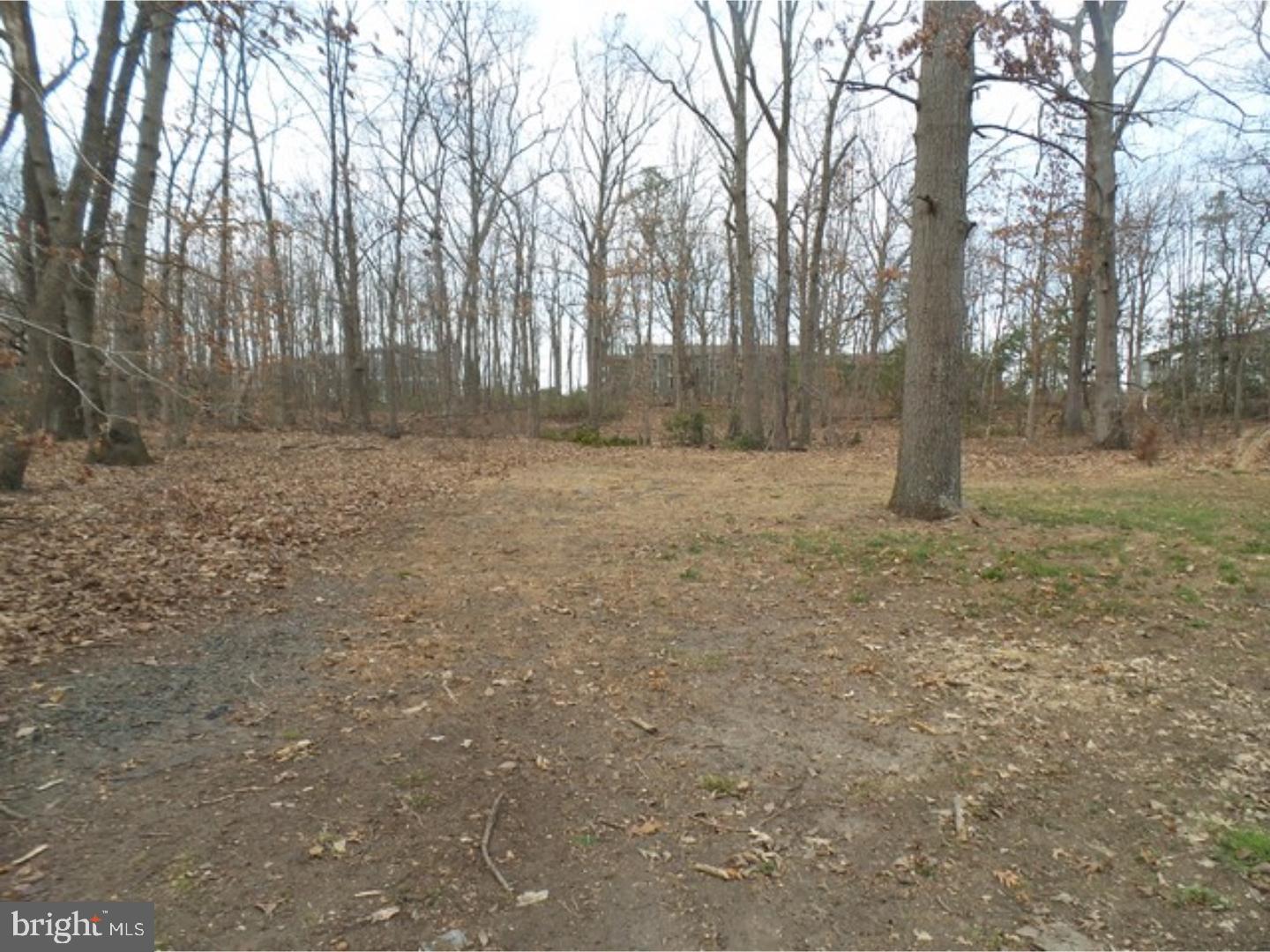 129 Cooper Folly Road Atco, NJ 08004 - Photo 25 of 25 Gallery Image 25