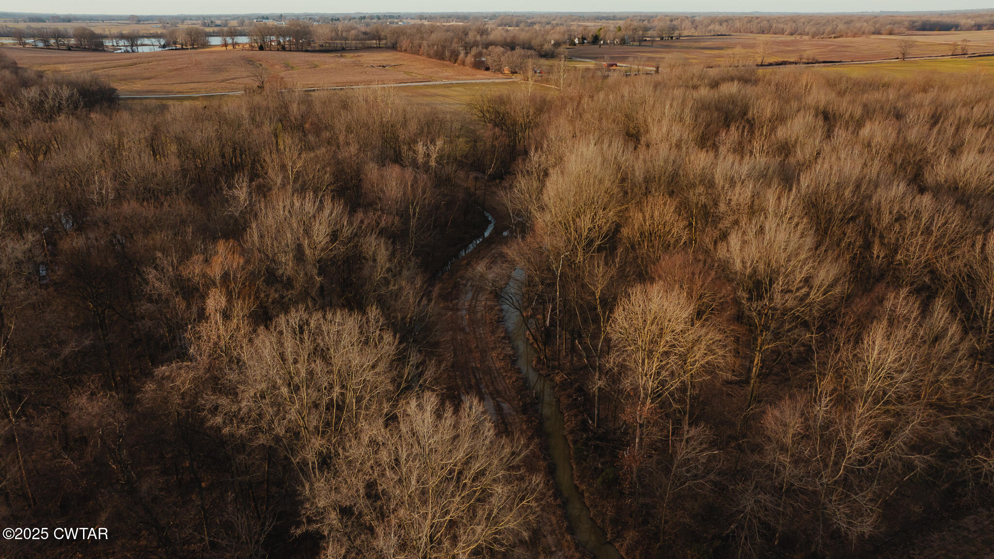 12596 New Home Road Martin, TN 38237 - Photo 20 of 30 DJI_20250203075123_0024_D