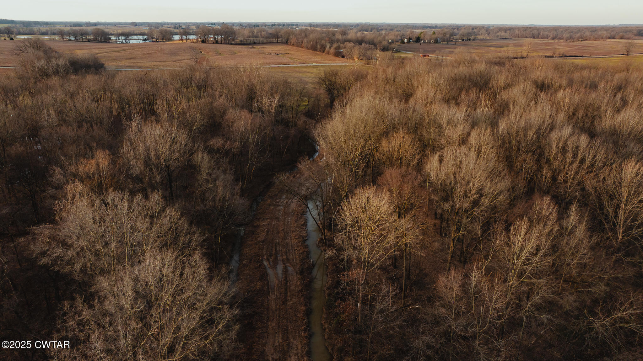 12596 New Home Road Martin, TN 38237 - Photo 10 of 30 DJI_20250203074651_0011_D