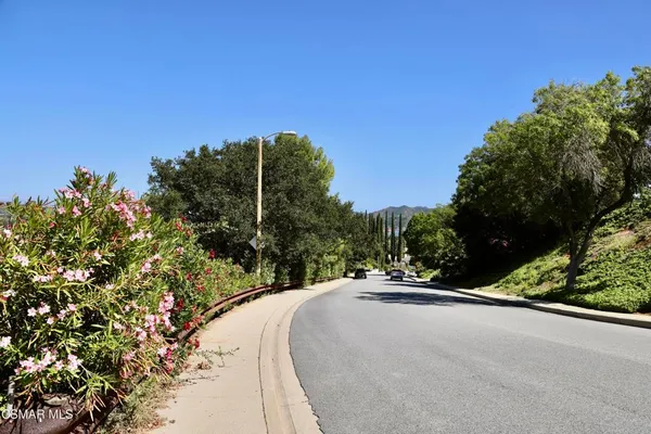 a view of a park with of trees