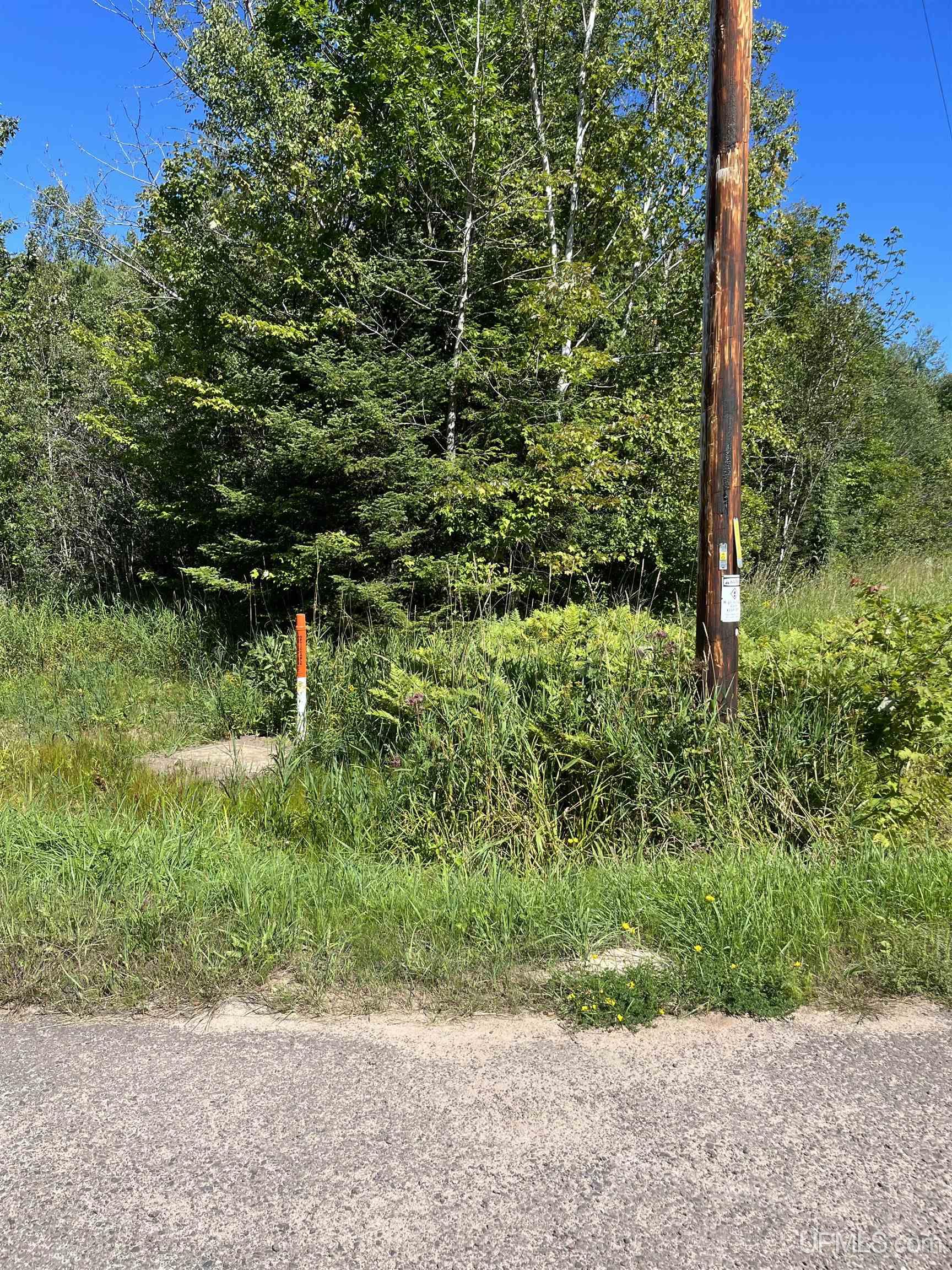 15380 Aho Road Ontonagon, MI 49953 - Photo 5 of 8