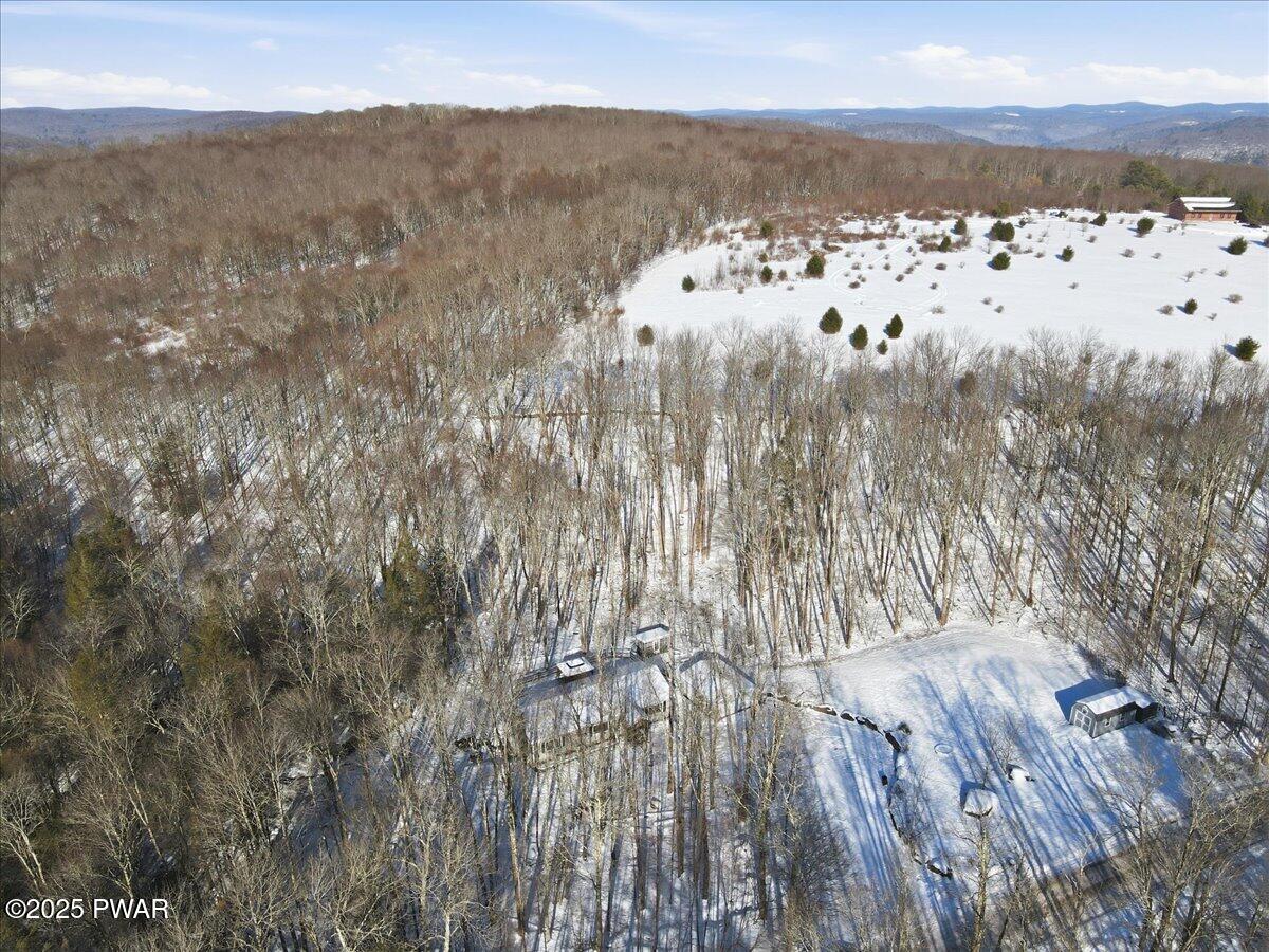 374 Fork Mountain Road Equinunk, PA 18417 - Photo 66 of 72 Drone
