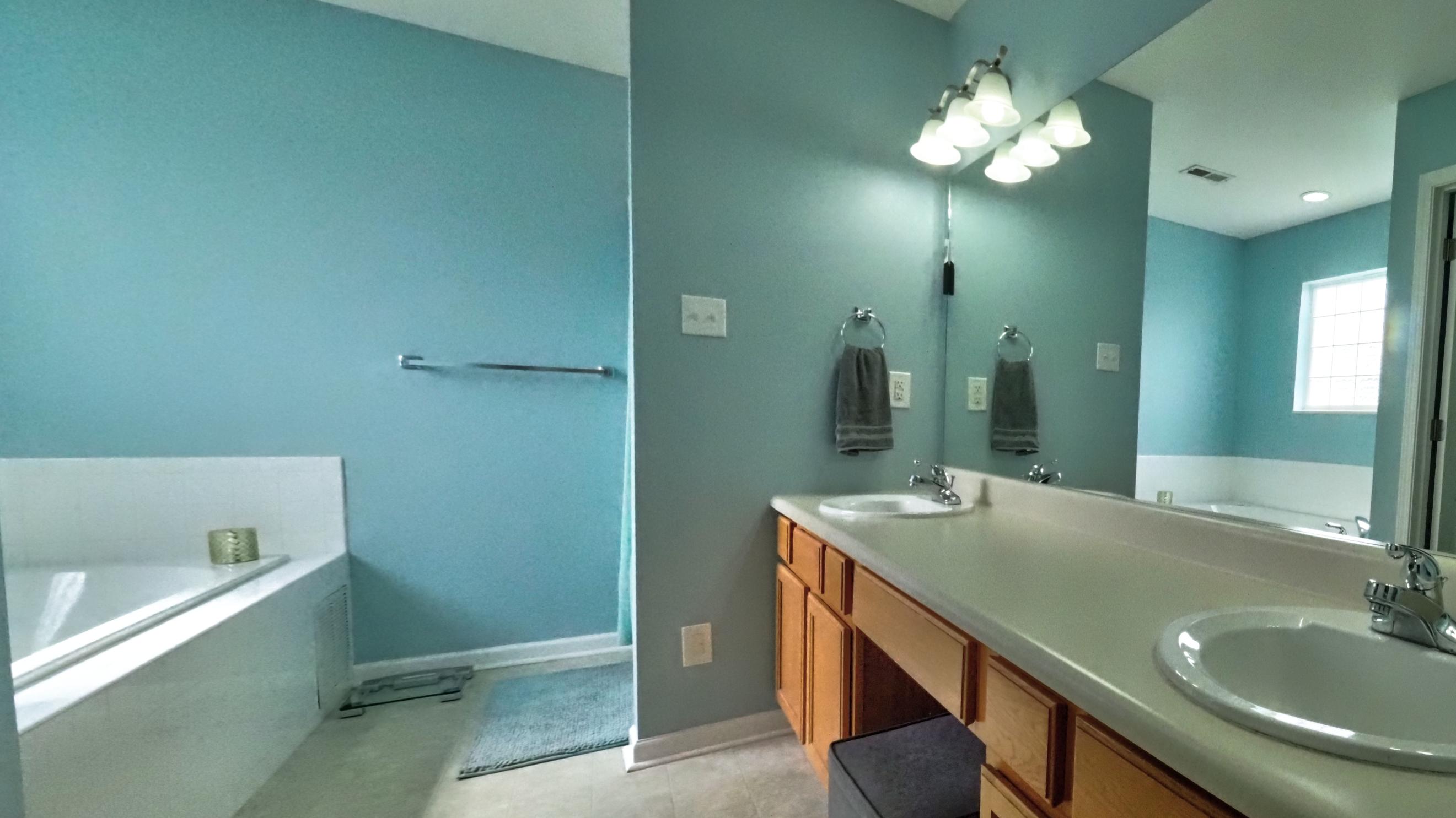1243 Elsborn Ridge Road Maryville, TN 37801 - Photo 9 of 16 MasterBath02
