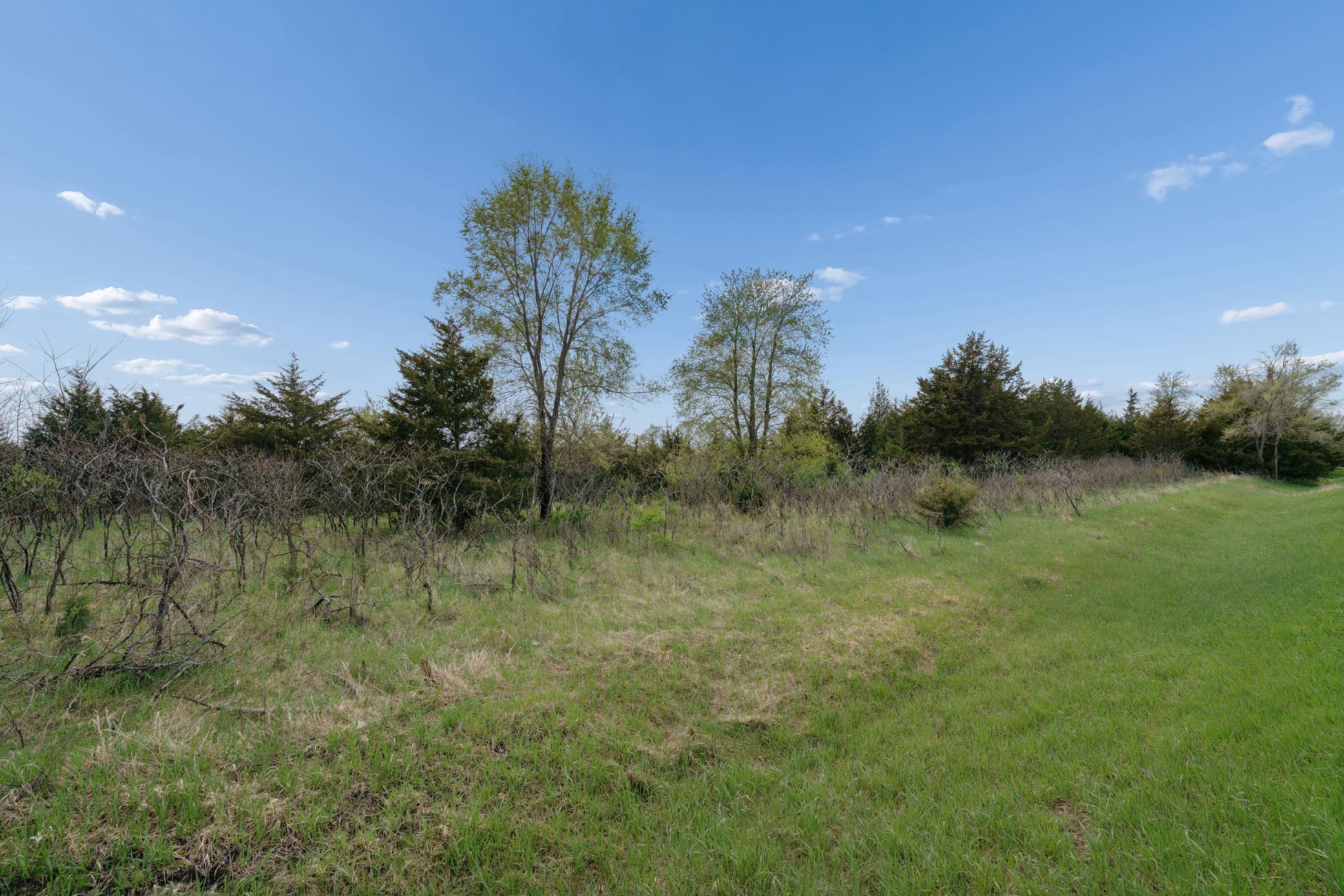 4 Of Sw1/4 Acres Located In Section 23 Jordan, MN 55352 - Photo 9 of 20