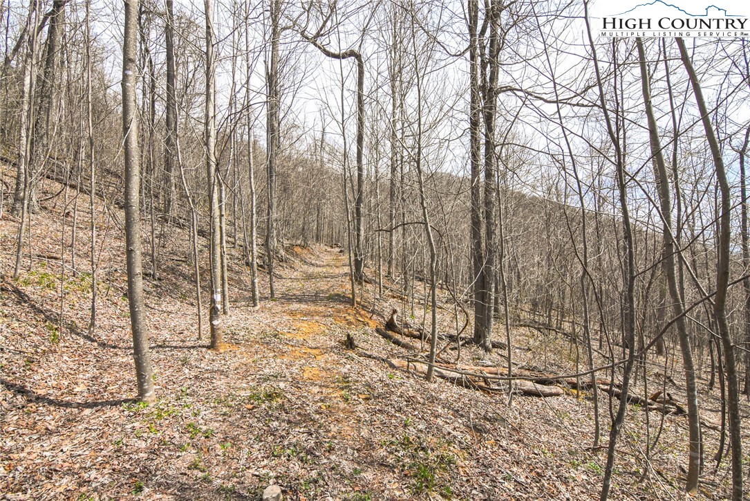 Lewis Road West Jefferson, NC 28694 - Photo 16 of 18 Gallery Image 16