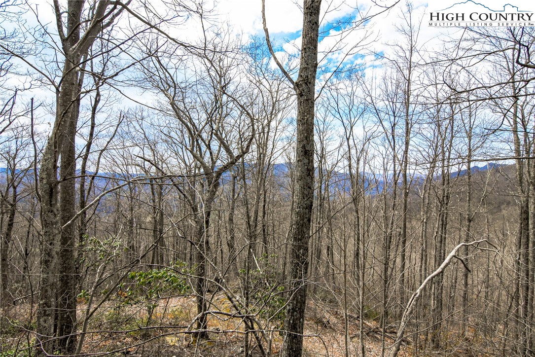 Lewis Road West Jefferson, NC 28694 - Photo 3 of 18 Gallery Image 3